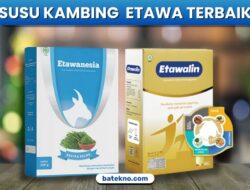 susu kambing etawa terbaik